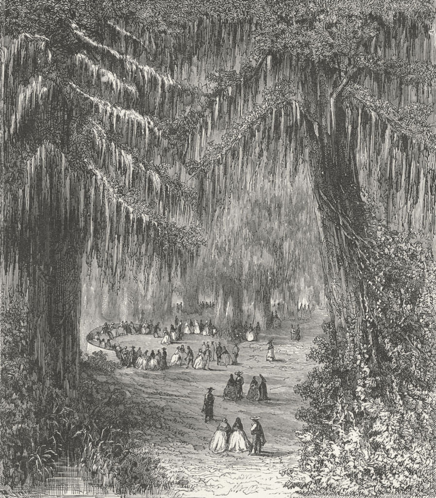 MEXICO. Cypress Gdns of Chapultepec 1880 old antique vintage print picture